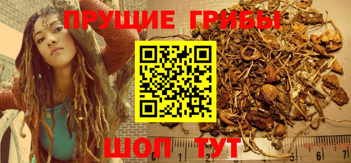 Корсаков  Галлюциногенные грибы Magic Shrooms  Вход с VPN 