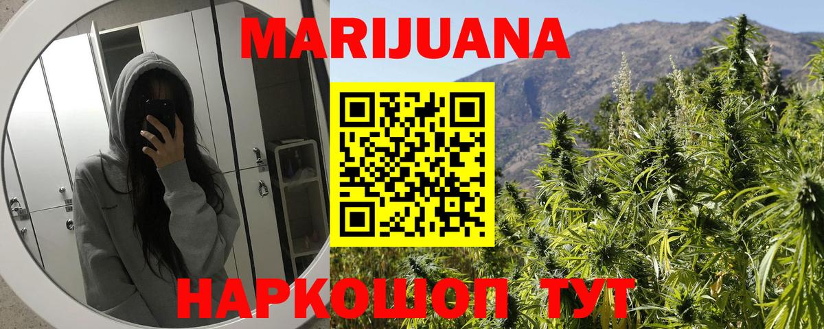 Конопля планчик Корсаков